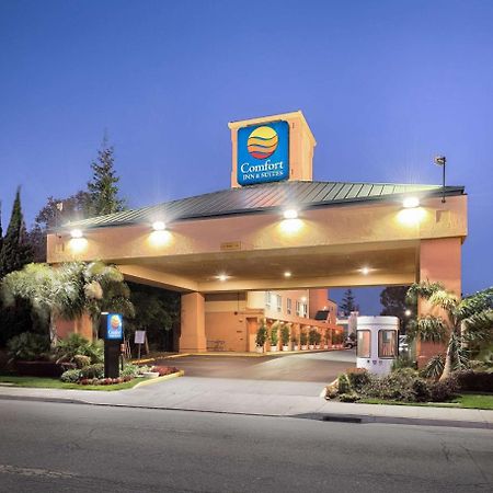 Comfort Inn & Suites Oakland Airport Exteriér fotografie