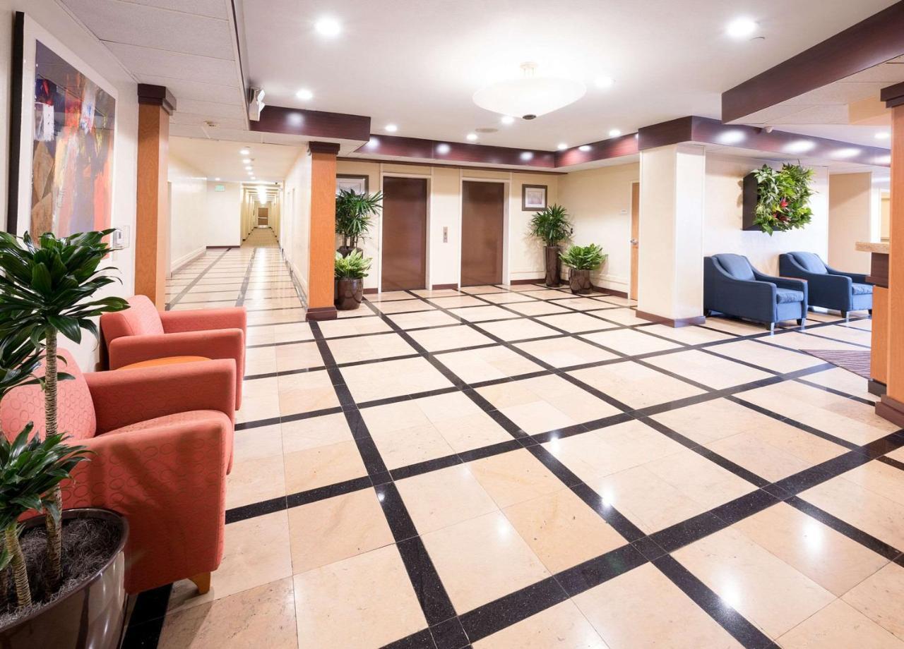 Comfort Inn & Suites Oakland Airport Exteriér fotografie